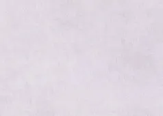 Обои виниловые на флизелиновой основе TH1913, 1,06x10 м, Perfetto