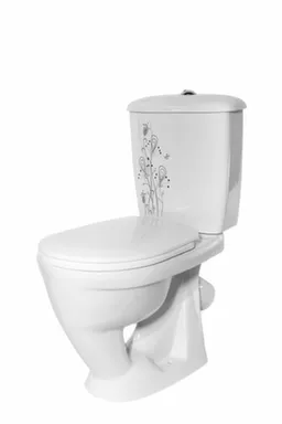 Купить Унитаз напольный РАДУГА Стандарт Цветы, Оскольская Керамика в интернет-магазине Akvilon.kz