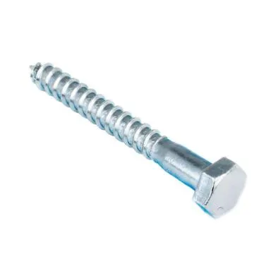 Купить Болт сантехнический DIN 571 10x80 (белый цинк 2 шт), Стройбат в интернет-магазине Akvilon.kz