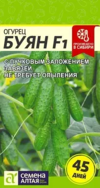 Купить Огурец Буян, Семена Алтая в интернет-магазине Akvilon.kz