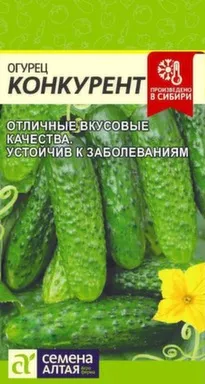Купить Огурец Конкурент, Семена Алтая в интернет-магазине Akvilon.kz