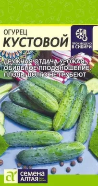 Купить Огурец Кустовой, Семена Алтая в интернет-магазине Akvilon.kz