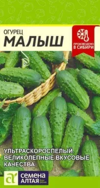 Купить Огурец Малыш, Семена Алтая в интернет-магазине Akvilon.kz
