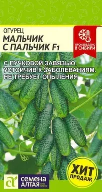 Купить Огурец Мальчик с пальчик, Семена Алтая в интернет-магазине Akvilon.kz Купить Огурец Мальчик с пальчик, Семена Алтая в интернет-магазине Akvilon.kz