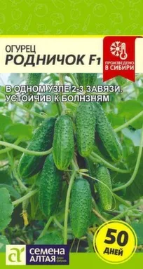 Купить Огурец Родничок, Семена Алтая в интернет-магазине Akvilon.kz