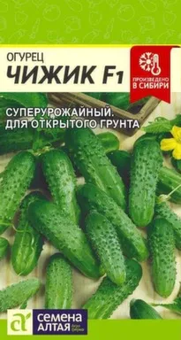 Купить Огурец Чижик, Семена Алтая в интернет-магазине Akvilon.kz