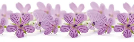 Купить Кух/фартук ПВХ Лесная фея 600x3000мм в интернет-магазине Akvilon.kz