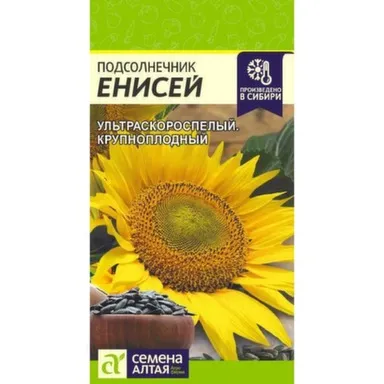 Купить Подсолнечник Енисей, Семена Алтая в интернет-магазине Akvilon.kz