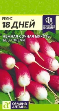 Купить Редис8 дней, Семена Алтая в интернет-магазине Akvilon.kz Купить Редис8 дней, Семена Алтая в интернет-магазине Akvilon.kz