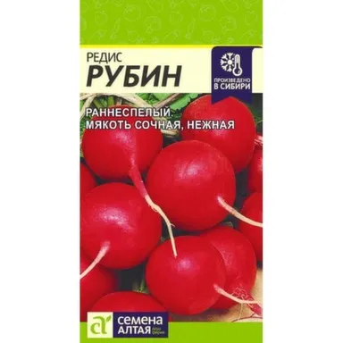 Купить Редис Рубин, Семена Алтая в интернет-магазине Akvilon.kz