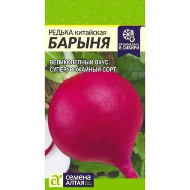 Купить Редька Барыня Зимняя Красная, Семена Алтая в интернет-магазине Akvilon.kz