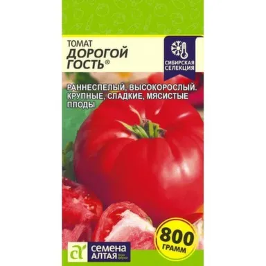 Купить Томат Дорогой Гость, Семена Алтая в интернет-магазине Akvilon.kz
