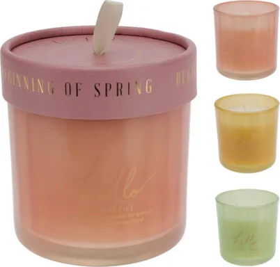 Купить Свеча залитая в банку с крышкой, 10x10 см, в ассортименте, Koopman в интернет-магазине Akvilon.kz