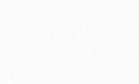 Купить Обои виниловые на флизелиновой основе TH8022, 1,06x10 м, Perfetto в интернет-магазине Akvilon.kz