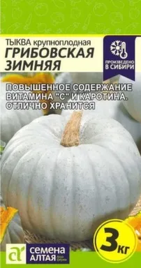 Купить Тыква Грибовская Зимняя 2 гр, Семена Алтая в интернет-магазине Akvilon.kz