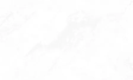 Купить Обои виниловые на флизелиновой основе TH4502, 1,06x10 м, Perfetto в интернет-магазине Akvilon.kz