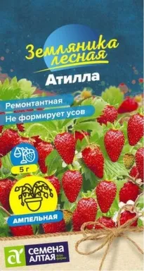Купить Ягода Земляника Атилла ремонтантная 0,03 гр, Семена Алтая в интернет-магазине Akvilon.kz