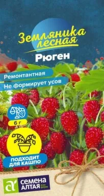 Купить Ягода Земляника Рюген ремонтантная 0,03 гр, Семена Алтая в интернет-магазине Akvilon.kz