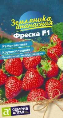 Купить Ягода Земляника Фреска ремонтантная, Семена Алтая в интернет-магазине Akvilon.kz