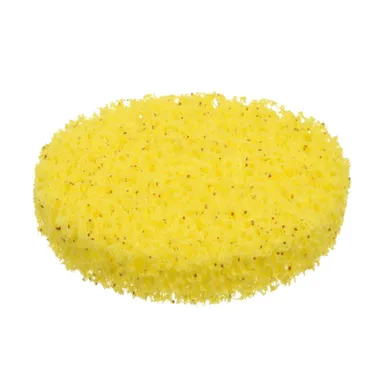 Купить Спонж для лица, с водорослями, очищающий D90x15мм, Банные штучки в интернет-магазине Akvilon.kz