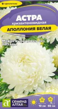 Купить Цветы Астра Аполлония Белая 0,2 гр, Семена Алтая в интернет-магазине Akvilon.kz Купить Цветы Астра Аполлония Белая 0,2 гр, Семена Алтая в интернет-магазине Akvilon.kz