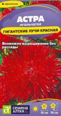 Купить Цветы Астра Гигантские лучи Красная 0,2 гр, Семена Алтая в интернет-магазине Akvilon.kz Купить Цветы Астра Гигантские лучи Красная 0,2 гр, Семена Алтая в интернет-магазине Akvilon.kz