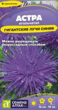 Купить Цветы Астра Гигантские лучи Синяя 0,2 гр, Семена Алтая в интернет-магазине Akvilon.kz