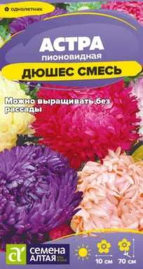 Купить Цветы Астра Дюшес Смесь пионовидная 0,2 гр, Семена Алтая в интернет-магазине Akvilon.kz
