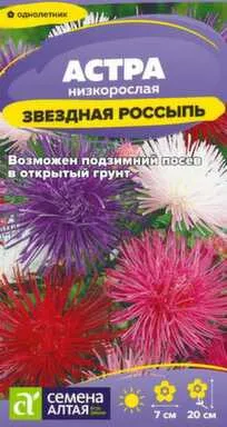 Купить Цветы Астра Звездная Россыпь 0,1 гр, Семена Алтая в интернет-магазине Akvilon.kz