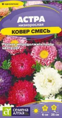 Купить Цветы Астра Ковер Смесь низкорослая 0,1 гр, Семена Алтая в интернет-магазине Akvilon.kz