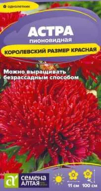 Купить Цветы Астра Королевский размер Красная 0,1 гр, Семена Алтая в интернет-магазине Akvilon.kz