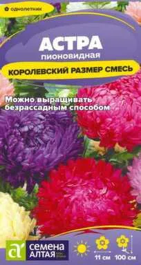 Купить Цветы Астра Королевский размер Смесь 0,1 гр, Семена Алтая в интернет-магазине Akvilon.kz