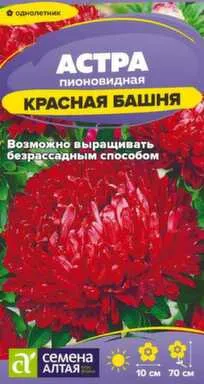 Купить Цветы Астра Красная Башня пионовидная 0,2 гр, Семена Алтая в интернет-магазине Akvilon.kz
