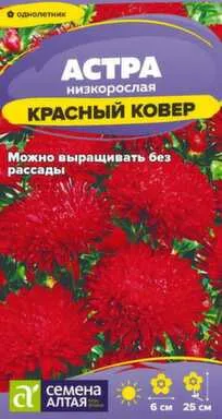Купить Цветы Астра Красный ковер низкорослая 0,1 гр, Семена Алтая в интернет-магазине Akvilon.kz Купить Цветы Астра Красный ковер низкорослая 0,1 гр, Семена Алтая в интернет-магазине Akvilon.kz