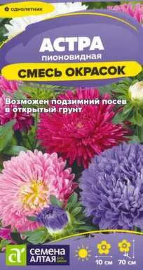 Купить Цветы Астра Пионовидная Смесь Окрасок 0,2 гр, Семена Алтая в интернет-магазине Akvilon.kz