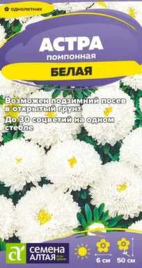 Купить Цветы Астра Помпонная Белая 0,2 гр, Семена Алтая в интернет-магазине Akvilon.kz