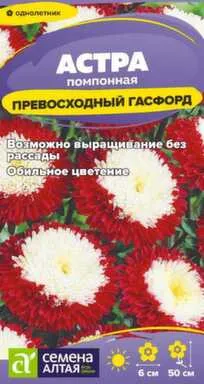 Купить Цветы Астра Превосходный Гасфорд помпонная 0,2 гр, Семена Алтая в интернет-магазине Akvilon.kz Купить Цветы Астра Превосходный Гасфорд помпонная 0,2 гр, Семена Алтая в интернет-магазине Akvilon.kz