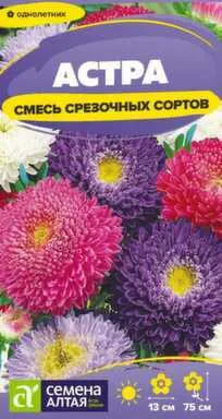 Купить Цветы Астра Смесь Срезочных Сортов 0,2 гр, Семена Алтая в интернет-магазине Akvilon.kz