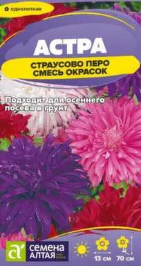 Купить Цветы Астра Страусово Перо Смесь окрасок 0,2 гр, Семена Алтая в интернет-магазине Akvilon.kz