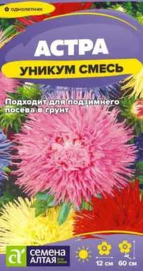 Купить Цветы Астра Уникум Смесь 0,2 гр, Семена Алтая в интернет-магазине Akvilon.kz
