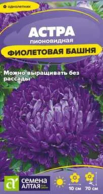 Купить Цветы Астра Фиолетовая Башня 0,2 гр, Семена Алтая в интернет-магазине Akvilon.kz