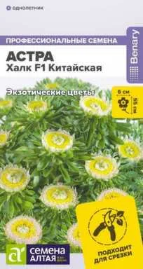 Купить Цветы Астра Халк китайская, Семена Алтая в интернет-магазине Akvilon.kz