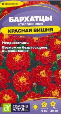 Купить Цветы Бархатцы Красная Вишня 0,2 гр, Семена Алтая в интернет-магазине Akvilon.kz