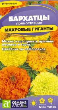 Купить Цветы Бархатцы Махровые Гиганты 0,2 гр, Семена Алтая в интернет-магазине Akvilon.kz