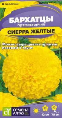 Купить Цветы Бархатцы Сиерра Желтые 0,2 гр, Семена Алтая в интернет-магазине Akvilon.kz