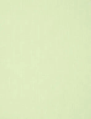 Купить Штора рулонная ЛЕН 38(34)/160 фисташковый, Delfa в интернет-магазине Akvilon.kz