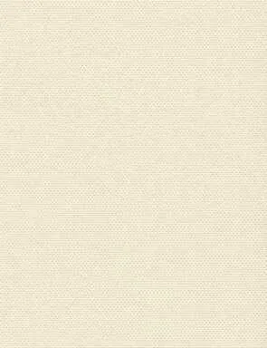 Купить Штора рулонная РОЯЛ Delfa Кремовый 57x170 в интернет-магазине Akvilon.kz