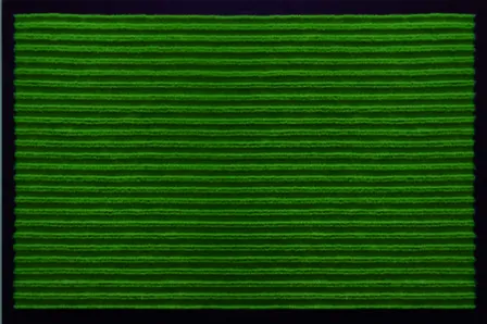 Купить Коврик Ребристый влаговпитывающий зеленый 50x80 см,SunStep в интернет-магазине Akvilon.kz