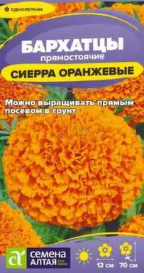 Купить Цветы Бархатцы Сиерра Оранжевые 0,2 гр, Семена Алтая в интернет-магазине Akvilon.kz