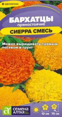 Купить Цветы Бархатцы Сиерра Смесь 0,2 гр, Семена Алтая в интернет-магазине Akvilon.kz